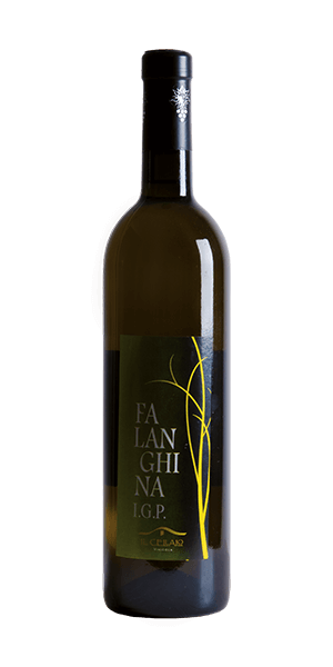 Falanghina IGP